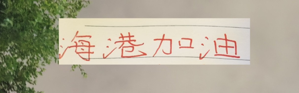 海港也算是把政策用到极致！有五外援 有港澳台 还有归化球员