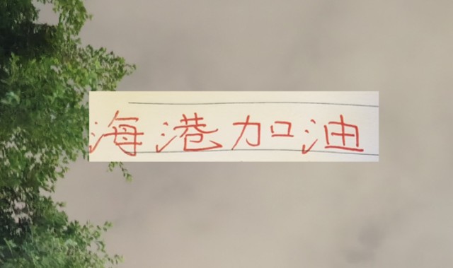 海港也算是把政策用到极致！有五外援 有港澳台 还有归化球员